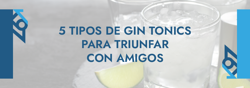 foto cabecera gin tonic
